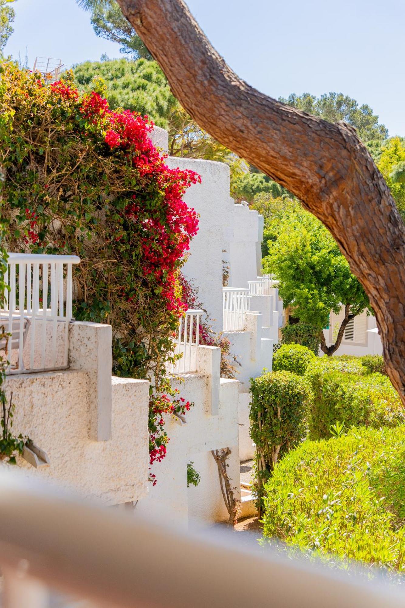 Atlas Apartments Ibiza سانتا أيُلاريا ذيس ريو المظهر الخارجي الصورة